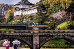 Tour privato di un giorno a Tokyo Tour panoramico completamente personalizzato
