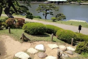 Tóquio completa: Santuário Meiji, Palácio Imperial, Asakusa e Skytree