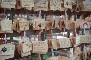 Tóquio completa: Santuário Meiji, Palácio Imperial, Asakusa e Skytree