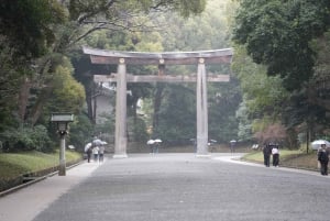 Tóquio completa: Santuário Meiji, Palácio Imperial, Asakusa e Skytree