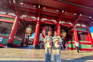 Tóquio completa: Santuário Meiji, Palácio Imperial, Asakusa e Skytree