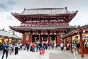 Tóquio completa: Santuário Meiji, Palácio Imperial, Asakusa e Skytree
