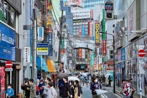 Tóquio completa: Santuário Meiji, Palácio Imperial, Asakusa e Skytree