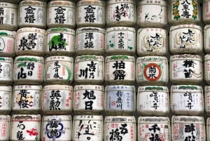 Tóquio completa: Santuário Meiji, Palácio Imperial, Asakusa e Skytree