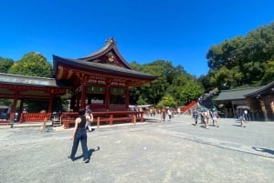 Tóquio completa: Santuário Meiji, Palácio Imperial, Asakusa e Skytree