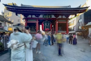 Tóquio completa: Santuário Meiji, Palácio Imperial, Asakusa e Skytree