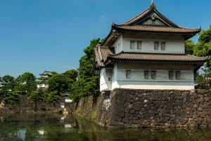 Tóquio completa: Santuário Meiji, Palácio Imperial, Asakusa e Skytree