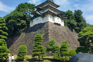 Tóquio completa: Santuário Meiji, Palácio Imperial, Asakusa e Skytree