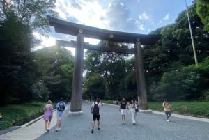 Tóquio completa: Santuário Meiji, Palácio Imperial, Asakusa e Skytree