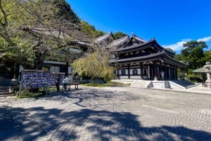 Tóquio completa: Santuário Meiji, Palácio Imperial, Asakusa e Skytree