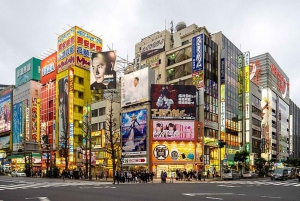 Tóquio completa: Santuário Meiji, Palácio Imperial, Asakusa e Skytree