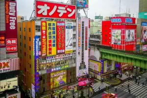 Tóquio completa: Santuário Meiji, Palácio Imperial, Asakusa e Skytree