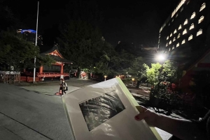 Lær Shinjuku at kende (natteliv valgfrit)