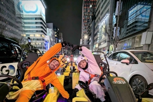 Go Kart Tokyo Bay Route | High Adrenalin in 120 minutes