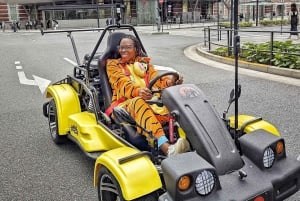 Go Kart Tokyo Bay Route | High Adrenalin in 120 minutes