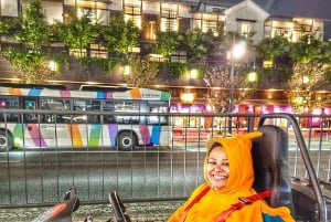 Go Kart Tokyo Bay Route | High Adrenalin in 120 minutes