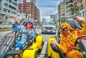 Go Kart Tokyo Bay Route | High Adrenalin in 120 minutes