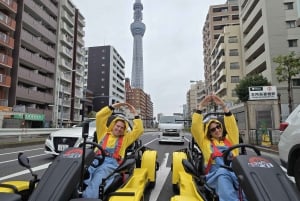 Go Kart Tokyo Bay Route | High Adrenalin in 120 minutes