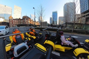 GoKart Tokyo: Oldtown Tour | 8 reisemål på 100 minutter