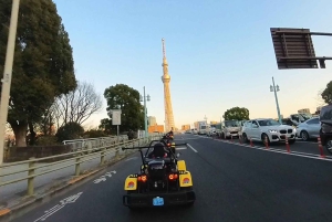 GoKart Tokyo: Oldtown Tour | 8 reisemål på 100 minutter