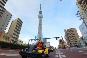 GoKart Tokyo: Oldtown Tour | 8 reisemål på 100 minutter