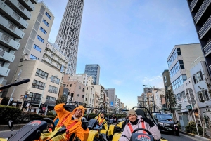 GoKart Tokyo: Oldtown Tour | 8 reisemål på 100 minutter