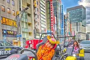 GoKart Tokyo: Oldtown Tour | 8 reisemål på 100 minutter