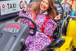 GoKart Tokyo: Oldtown Tour | 8 reisemål på 100 minutter