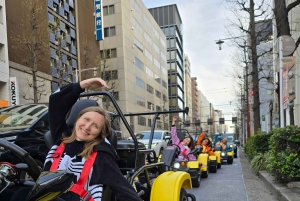 GoKart Tokyo: Oldtown Tour | 8 reisemål på 100 minutter