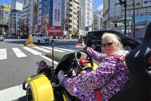 GoKart Tokyo: Oldtown Tour | 8 reisemål på 100 minutter