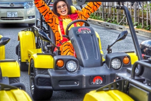 GoKart Tokyo: Oldtown Tour | 8 reisemål på 100 minutter