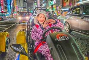 GoKart Tokyo: Oldtown Tour | 8 reisemål på 100 minutter