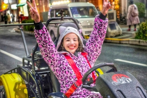GoKart Tokyo: Oldtown Tour | 8 reisemål på 100 minutter