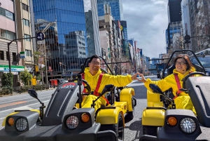 GoKart Tokyo: Oldtown Tour | 8 reisemål på 100 minutter