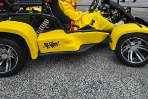 GoKart Tokyo: Oldtown Tour | 8 reisemål på 100 minutter