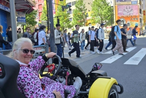 GoKart Tokyo: Oldtown Tour | 8 reisemål på 100 minutter