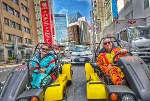 GoKart Tokyo: Oldtown Tour | 8 reisemål på 100 minutter