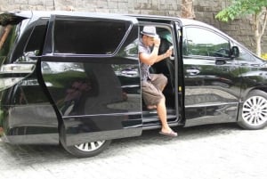 Guidet privat transport Tokyo ↔ Osaka/Kyoto med naturskønt stop