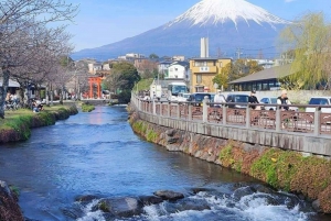 東京発富士山1日プライベートツアー