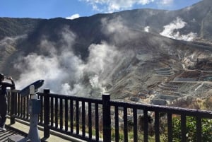 Hakone Day tour to view Mt Fuji after feeling wooden culture