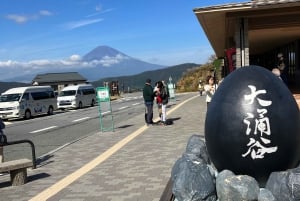 Hakone Day tour to view Mt Fuji after feeling wooden culture