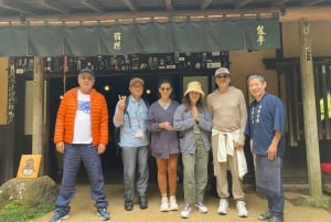 Hakone Day tour to view Mt Fuji after feeling wooden culture