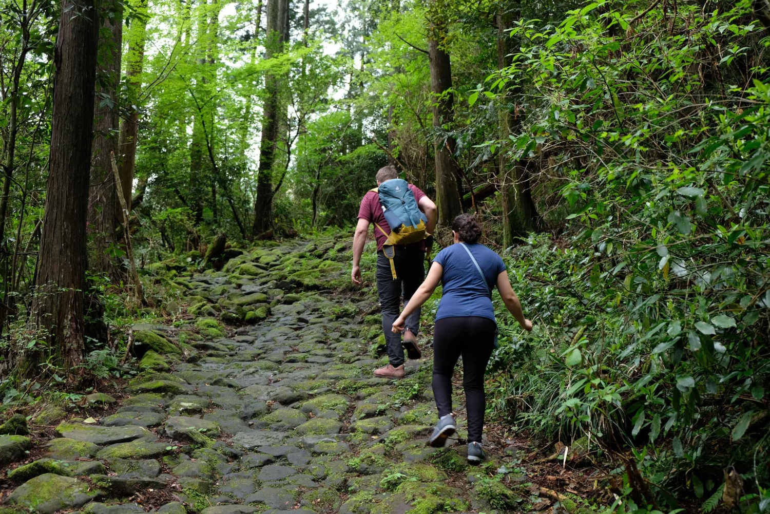 Hakone Hachiri: Excursão de meio dia à antiga autoestrada Tokaido