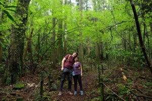 Hakone Hachiri: Tour di mezza giornata sull'antica autostrada Tokaido