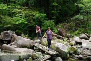 Hakone Hachiri: Tour di mezza giornata sull'antica autostrada Tokaido