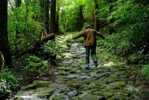 Hakone Hachiri: Tour di mezza giornata sull'antica autostrada Tokaido