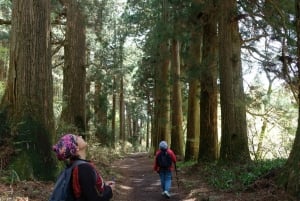 Hakone Hachiri: Tour di mezza giornata sull'antica autostrada Tokaido