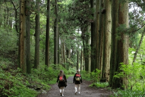 Hakone Hachiri: Tour di mezza giornata sull'antica autostrada Tokaido