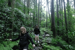 Hakone Hachiri: Excursão de meio dia à antiga autoestrada Tokaido