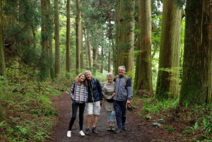 Hakone Hachiri: Excursão de meio dia à antiga autoestrada Tokaido